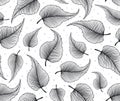 Birch Leaves Seamless Pattern Royalty Free Stock Photo