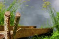 Birch log by the river