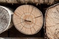 Birch logs Royalty Free Stock Photo