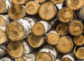 Birch logs. Royalty Free Stock Photo