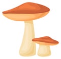Birch mushroom icon. Cartoon forest cap fungus