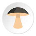 Birch mushroom icon circle
