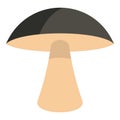 Birch mushroom icon isolated