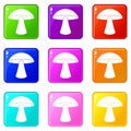 Birch mushroom icons 9 set