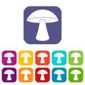 Birch mushroom icons set flat