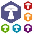 Birch mushroom icons set hexagon