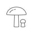 Birch mushroom line outline icon