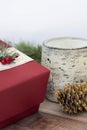 Birch and pine cones with present Royalty Free Stock Photo