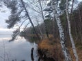 Rekyva forest and lake during cloudy autumn day