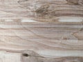 Birch plywood texture close up Royalty Free Stock Photo