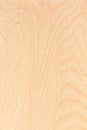 Birch plywood texture Royalty Free Stock Photo