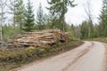 Birch pulpwood pile by roadside