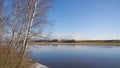 Birch on the river bank. Spring landscape on the river. Royalty Free Stock Photo