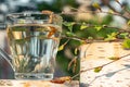 Birch sap in a glass mug on a birch stump in a spring forest, near a birch branch with young leaves Royalty Free Stock Photo
