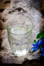 Birch sap in a glass Royalty Free Stock Photo