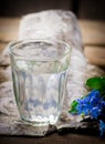Birch sap in a glass Royalty Free Stock Photo