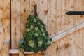 Birch sauna broom on wooden sauna door in Finland