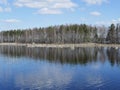 Birch and spruce on a rocky island on the lake.  white clouds in the blue sky reflected on the surface of calm water Royalty Free Stock Photo