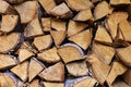 Birch. stacked birch firewood. deforestation. logging. birch firewood is the best fuel. Royalty Free Stock Photo
