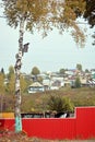 Birch with starling house stands on the background of the village, the sky and the red fence Royalty Free Stock Photo