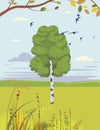 birch and swallows summer landscape Royalty Free Stock Photo