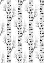 Birch tree autmn. seamless pattern background