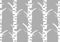 Birch tree autmn. seamless pattern