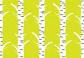 Birch tree autumn. seamless pattern yellow background