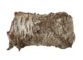 Birch tree bark texture Royalty Free Stock Photo