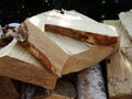 Birch tree bark texture - detail. Dry branch on the birch bark and old wooden background. Rural background - dry birch wood Royalty Free Stock Photo