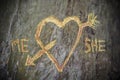 Birch tree with carved heart crossed by a love arrow