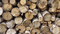 Birch tree firewood stack background Royalty Free Stock Photo