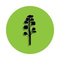 Birch tree in green badge icon Royalty Free Stock Photo