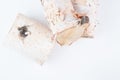 Birch tree logs Royalty Free Stock Photo