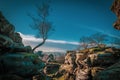 Birch Tree and Natural Rock Formation