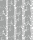 Birch tree.seamless pattern