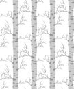 Birch tree.seamless pattern