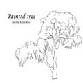 Birch tree vector illustration isolated on white background, hand drawn ink sketch of a tree Royalty Free Stock Photo