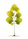 Birch Tree Vector On White Background: Organic Realism With Spiritual Symbolism