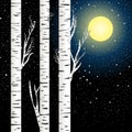Birch Trees Against Night Sky With Full Moon And Stars