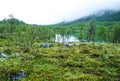 Birch trees and lake in Norway Royalty Free Stock Photo