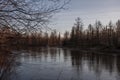 Birch trees without leaves in early spring. Small river flow across forest with light in sundown lights. March Royalty Free Stock Photo