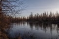 Birch trees without leaves in early spring. Small river flow across forest with light in sundown lights. March Royalty Free Stock Photo