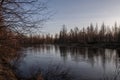 Birch trees without leaves in early spring. Small river flow across forest with light in sundown lights. March Royalty Free Stock Photo