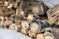 Birch wood logs piled in a pile in the snow prepared for kindling for the winter in a stack