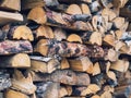 Birch wood neatly stacked in a woodpile, close-up, background, texture. Preparation of firewood and boards on the sawmill, for the Royalty Free Stock Photo