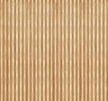 Birch wood section texture