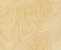 Birch wood texture Royalty Free Stock Photo
