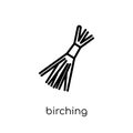 Birching icon. Trendy modern flat linear vector Birching icon on Royalty Free Stock Photo