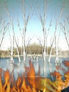 birchtree pond edited enahnced graphic flame nature midwest log Royalty Free Stock Photo